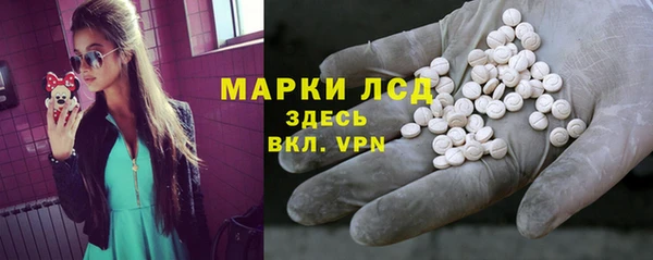 хмурый Абаза