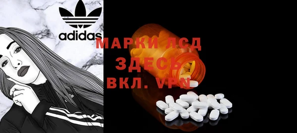 хмурый Абаза